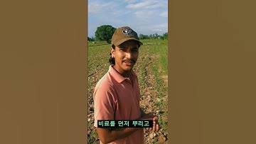 learn korean dialouge |conversation between boss and worker | chapter-45 | #learnkorean #eps