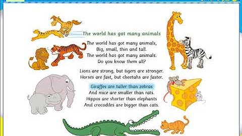 Unit 10: The world around us (SING A SONG)