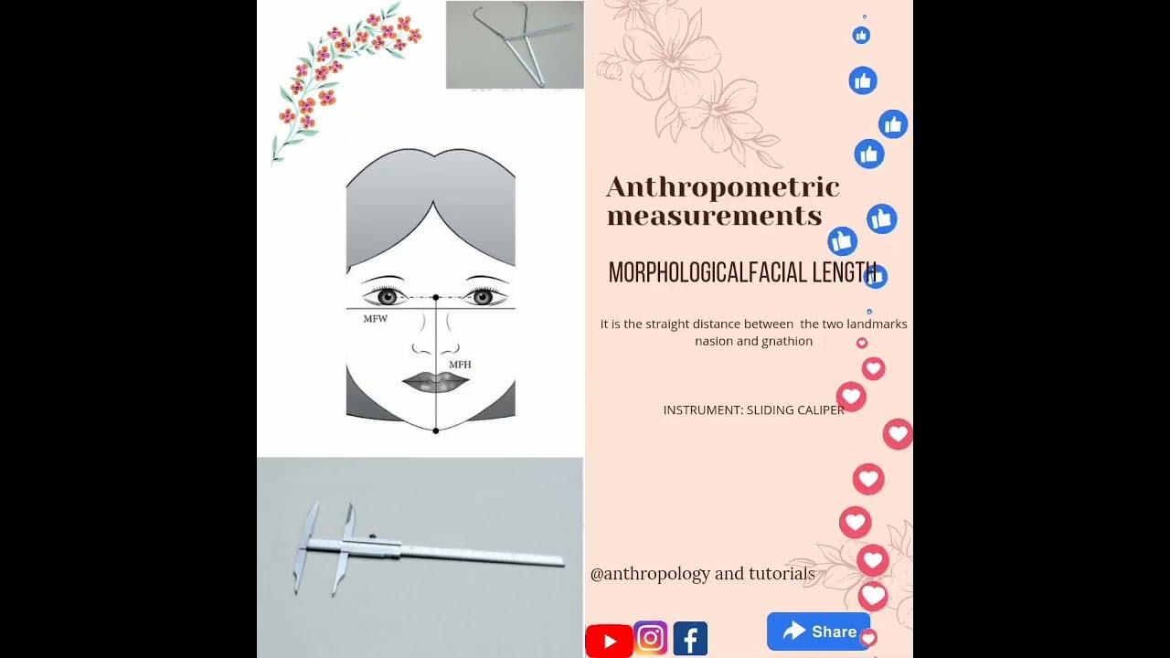 Total Face Height Measurement Tutorial Using Anthropometry Portable