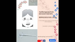 Morphological facial length||anthropometric measurements||@anthropology and tutorials||