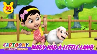 Mary Had A Little Lamb More Cartoony Nursery Rhymes & Kids Songs 2020 | Kids Learning Rhymes Video