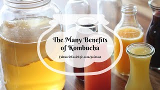 Podcast Episode 245: The Many Benefits of Kombucha