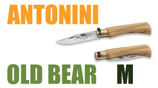 Antonini OLD BEAR M - La classe à l'italienne ! Présentation et comparatif