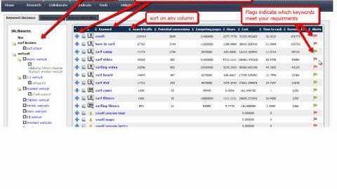 Sneak Peek of Domain Web Studio (Network Empire) Website Silo Architecture Dominator