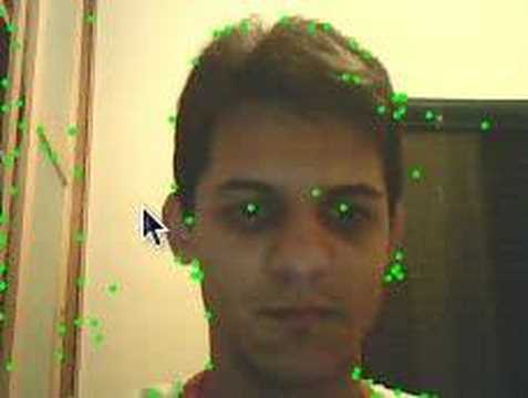 Optical flow using Lucas Kanade OpenCV method