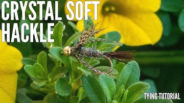 How to tie Crystal Soft Hackle | AvidMax Fly Tying Tuesday Tutorials