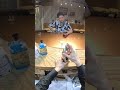 ブルーマルガリータ #青いハイボール