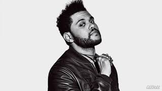 Video thumbnail of "The Weeknd Motionless (ft. Cashmere Cat)"