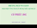 NHẬN DIỆN VÙNG TÍCH LŨY ĐỂ ĐẠT SIÊU LỢI NHUẬN : CỔ PHIẾU DIG