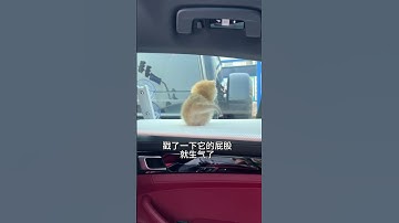It
