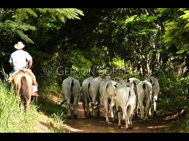 Teodoro e Sampaio - Cidade Grande