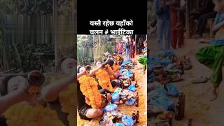 Different Kind of Bhai Tika Tradition You Never Saw before #shorts