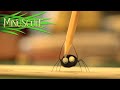 Minuscule - The artist / L&#39;artiste (Season 2)