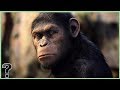 What If Planet Of The Apes Was Real? The following video is brought to you courtesy of the LifesBiggestQuestions YouTube Channel. Click the link below to watch it now!