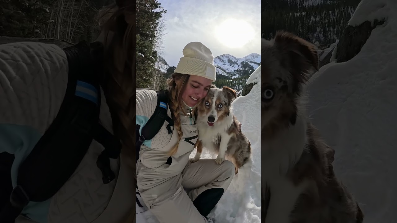 Things to keep in mind if you want to ski with your dog