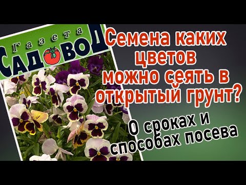 Видео: Посев семян овощей: посев семян в помещении и прямой посев на открытом воздухе