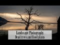 Dead trees, Tidal floods and Reflections. This Landscape Photography Location amazed me !!!