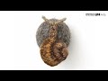 Showcase of Textile and Mixed Media