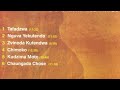 Alick Macheso - Chimoko (Zvinoda Kutendwa Album 2010) (Official Audio)