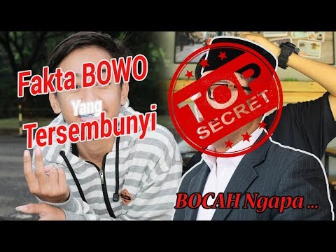 5 Fakta Yang Jarang Diketahui Orang Tentang-Bowo Alpenliebe Tik Tok