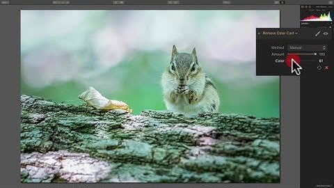 Luminar 2018 Tips & Tricks - Episode 10: Dealing With a Color Cast