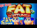 Fat Cat Fat Fortunes 🐈 100x Spin