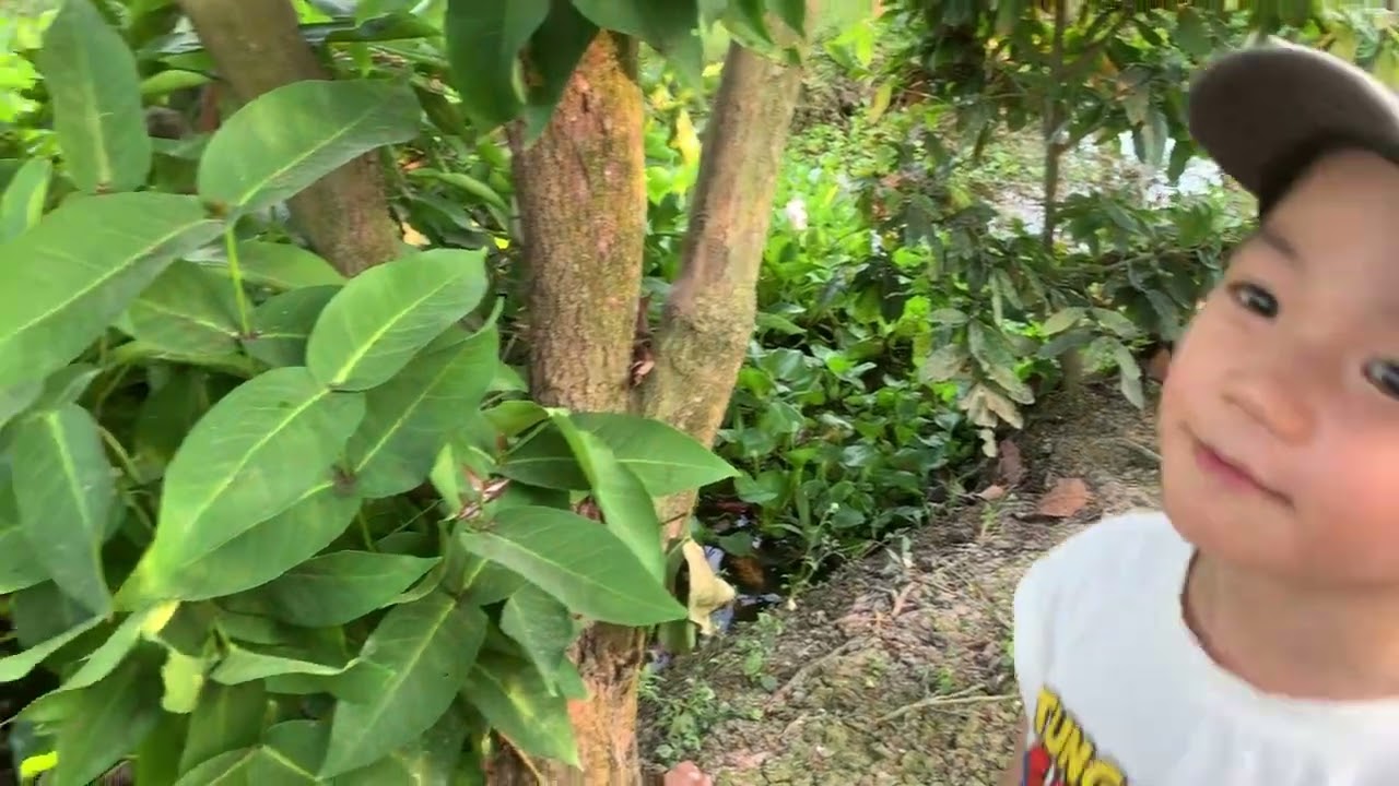 Mùng 3tet vườn nhà ông ngoại 