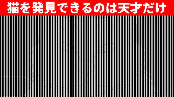 錯覚 錯覚