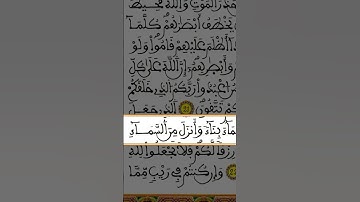 ما أجمل رواية ورش !  #ختمة_الأثمان برواية #ورش_عن_نافع بخط #المصحف_المسبع_المغربي #أبوبكر_الظبي