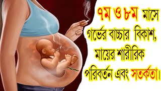 ৭ম ও ৮ম  মাসে গর্ভের বাচ্চার  বিকাশ, মায়ের শারীরিক পরিবর্তন, এবং সতর্কতা।