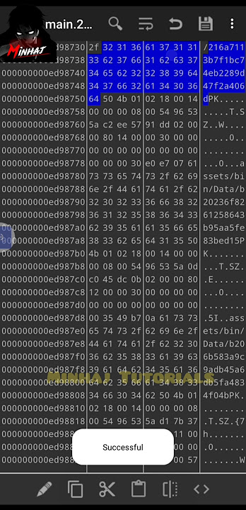 HOW TO MAKE  HOLOGRAM OBB HACK HEX EDITOR APP NEW CODING 🤯  FF MAKE HACK 🔥🔥🔥