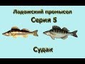 Русская Рыбалка 3.99 (Russian Fishing) Ладожский промысел 5 - Судак