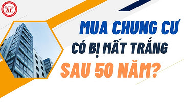 Mua Nhà Chung Cư Có Bị Mất Trắng Sau 50 Năm? | TVPL