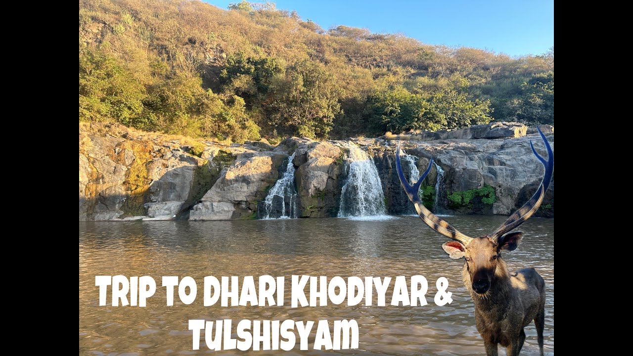 Trip to Dhari Khodiyar Temple & Tulshisyam #girforest #gujarattourism #dam #waterfall #wildlife #Diu