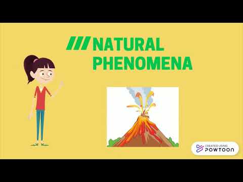 Video: How To Predict The Weather By Natural Phenomena