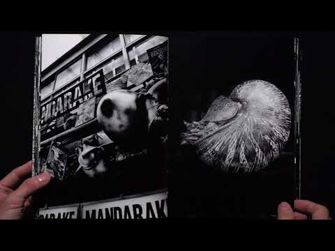 森山大道 モノクローム 森山大道 Daido Moriyama モノクローム MONOCHROME - YouTube
