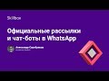 Официальные рассылки и чат-боты в WhatsApp