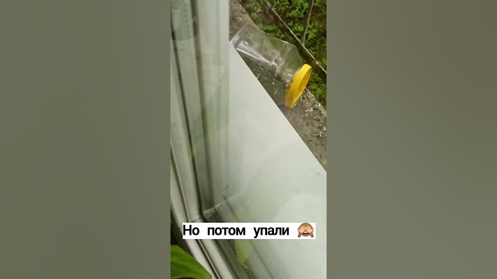 Белочка упала ( все остались живы)) #animals #белкаlifestyle