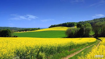 Sheikh Ali Jabir Surah Al Falaq - سورة الفلق الشيخ علي جابر