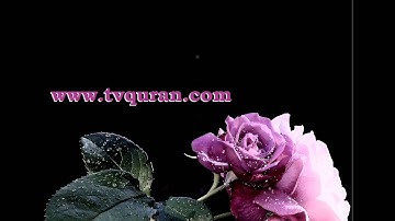 القارئ الشيخ ناصر القطامي اية 59  من سورة مريم