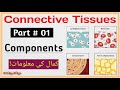 Connective Tissue Components | Cells, Fibers & Ground substance Explained | EasyMedEdHub