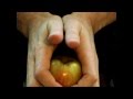 Πως να κόψετε ένα μήλο στη μέση χρησιμοποιώντας μόνο τα χέρια σας!!!VIDEO