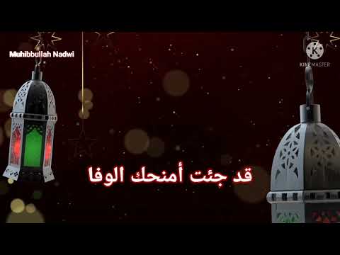 قلبي عليه متيم و بحب أحمد مغرم بصوت الشيخ مشاري راشد العفاسي واضع الكلمات محب الله الندوي