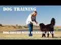 Dog Training Revolution-How To Train A Dog Issues With Running Away Dog Training Revolution-How To Train A Dog Issues With Running Away