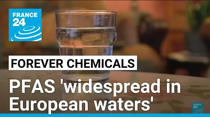 'Forever chemicals' widespread in European waters, says EU environment agency • FRANCE 24 English