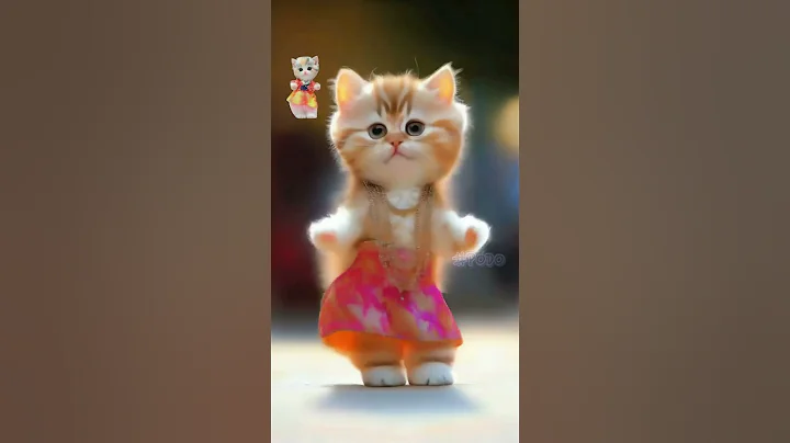 Watch the video about 😍🐕🐅Cute Kitty Dance #cat #shorts #catvideos #animals #dance #funny #usa #tending #funnyvideo