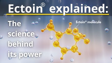 Ectoin® explained: The science behind its power