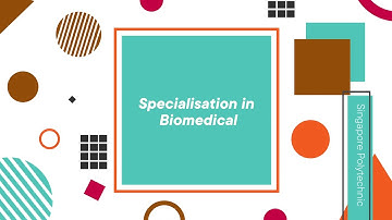 Engaging Rehabilitation Projects