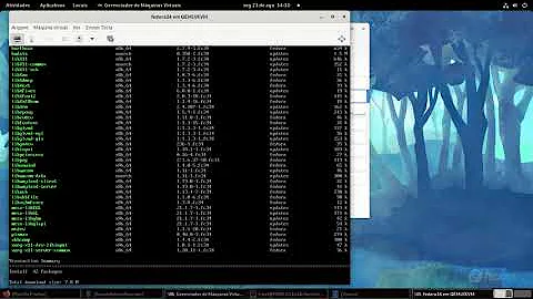 Fedora 34 - minimal installation