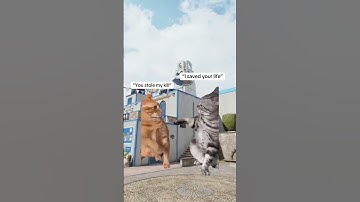 Me and Bro 😂💀🫂 #callofdutymobile #codmmemes #shorts #oziae #codmobile